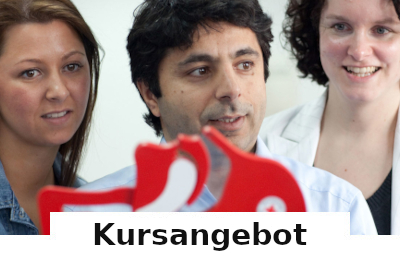 kursangebot